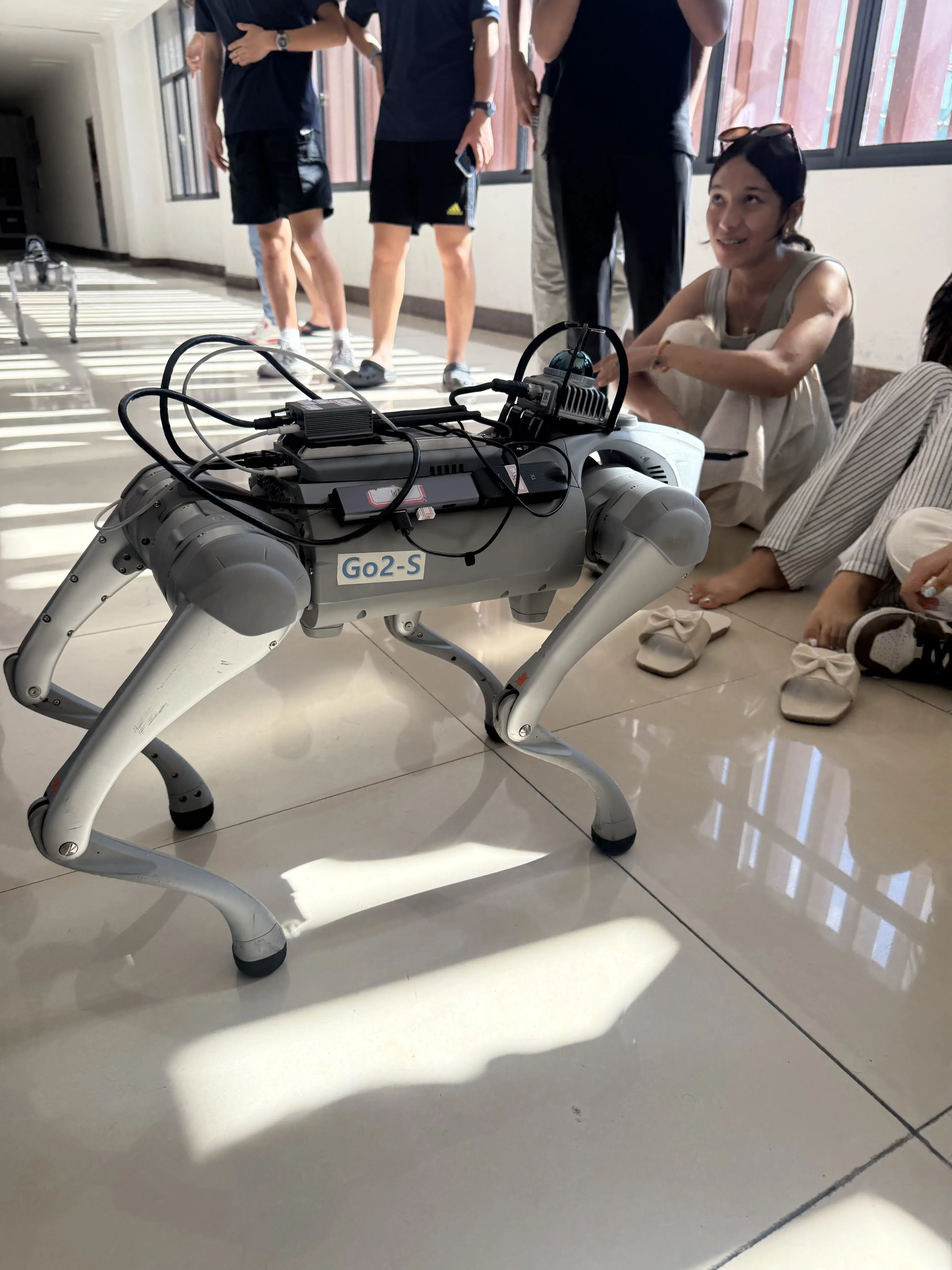 Summer program activity